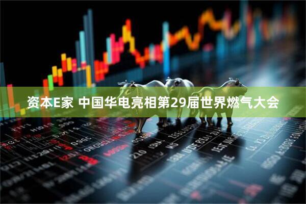资本E家 中国华电亮相第29届世界燃气大会
