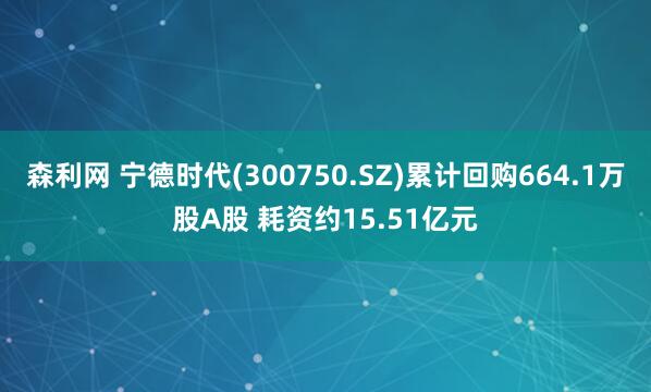 森利网 宁德时代(300750.SZ)累计回购664.1万股A股 耗资约15.51亿元