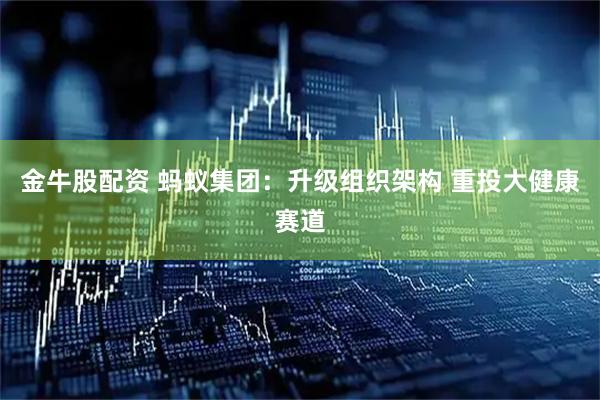 金牛股配资 蚂蚁集团：升级组织架构 重投大健康赛道