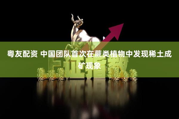 粤友配资 中国团队首次在蕨类植物中发现稀土成矿现象