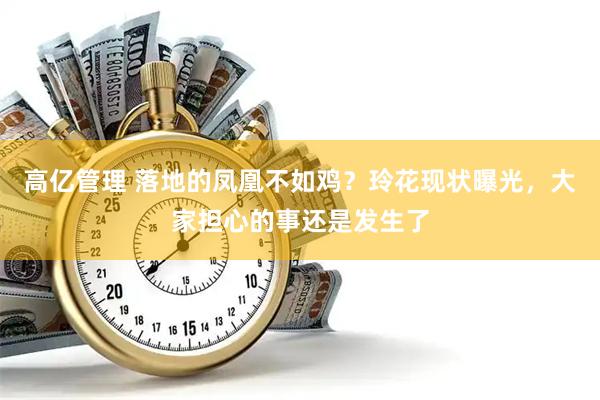 高亿管理 落地的凤凰不如鸡？玲花现状曝光，大家担心的事还是发生了