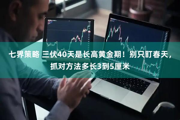 七界策略 三伏40天是长高黄金期！别只盯春天，抓对方法多长3到5厘米